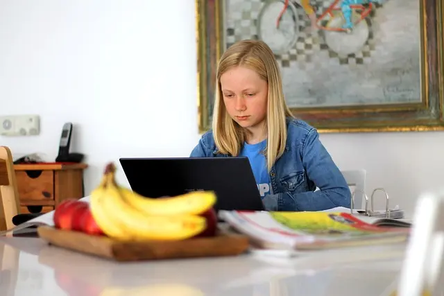 Cómo Crear un Entorno de Aprendizaje Virtual Efectivo