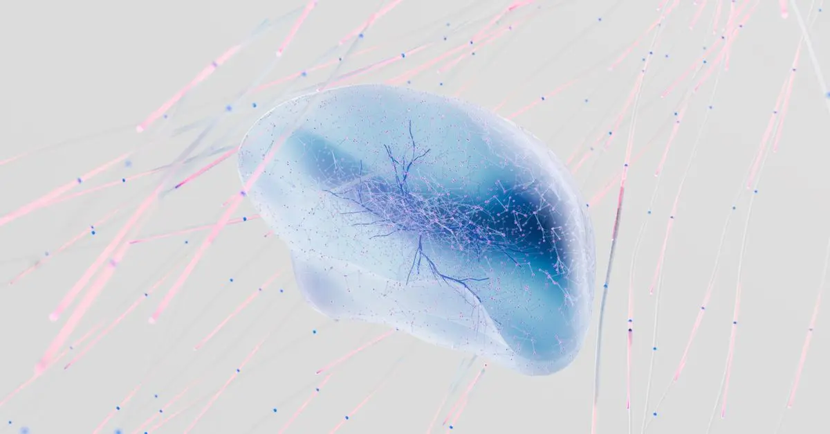 Cómo la Neurociencia Está Transformando el Aprendizaje