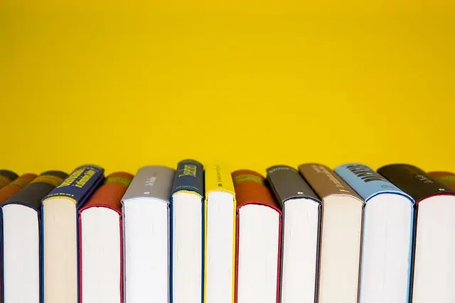 Cómo Fomentar la Curiosidad para Mejorar el Aprendizaje en Niños