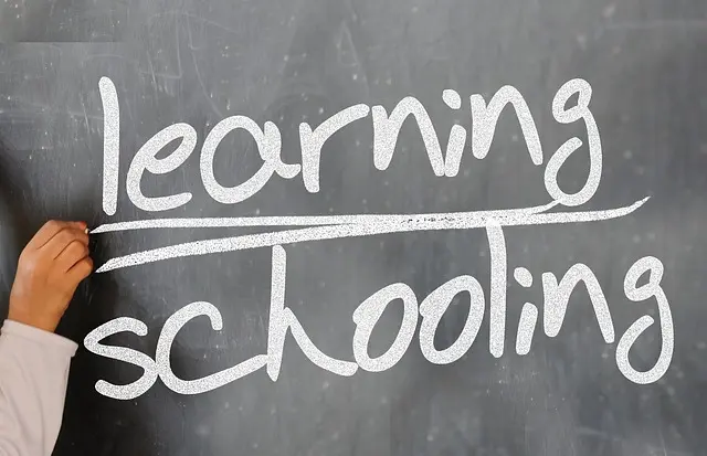 Cómo Fomentar el Aprendizaje Colaborativo en Estudiantes