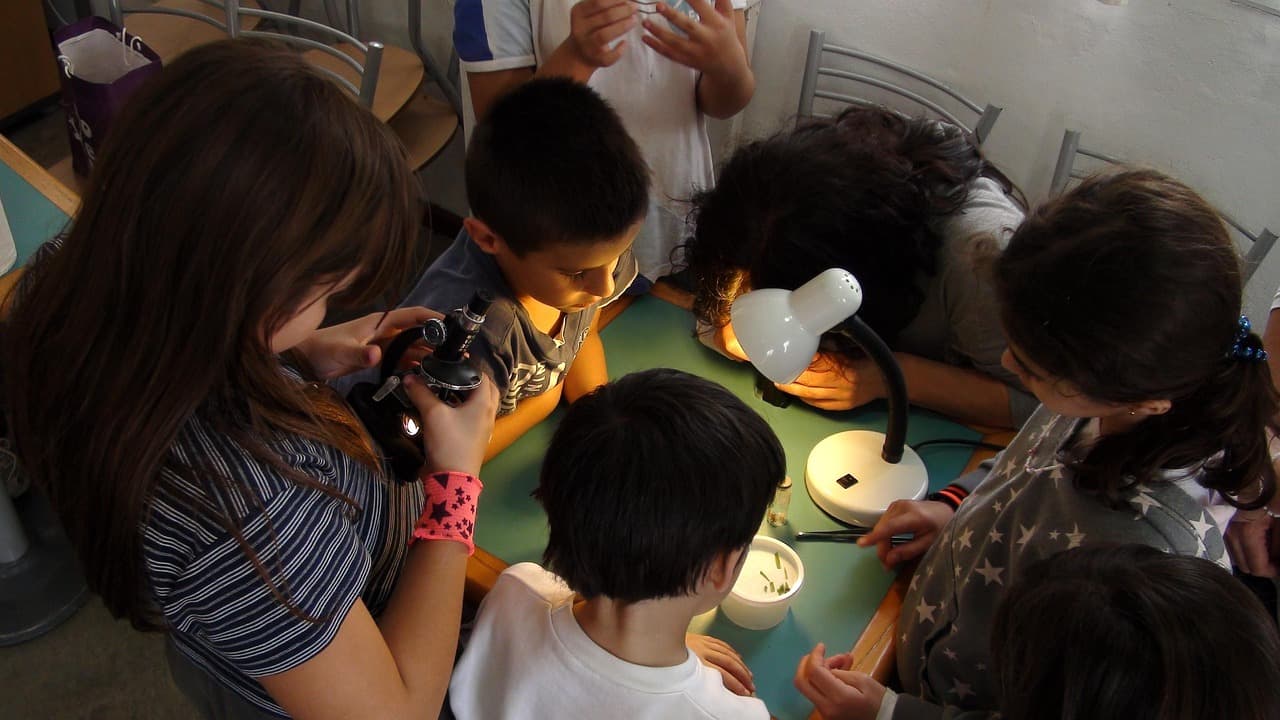 Cómo Fomentar la Curiosidad en el Aprendizaje de los Niños